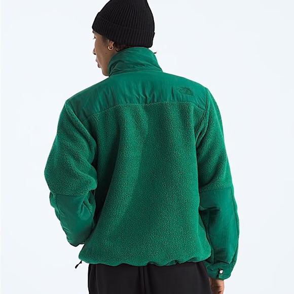 The North Face Men’s Retro Denali DTM Fleece Jacket Evergreen Green XL - Picture 12 of 15